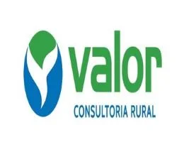 VALOR CONSULTORIA RURAL